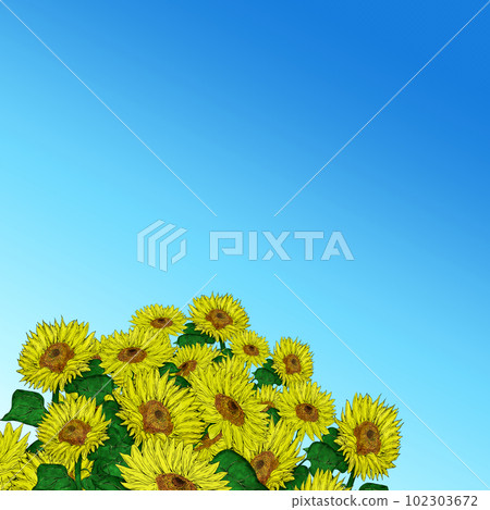 藍色背景和向日葵插圖素材 102303672