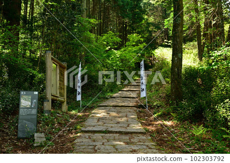 Japan's Top 100 Castles, Iwamura Castle 102303792