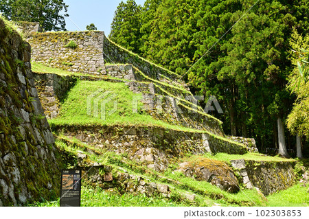 Japan's Top 100 Castles, Iwamura Castle Japan's Top 100 Castles, Iwamura Castle 102303853