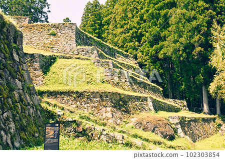 Japan's Top 100 Castles, Iwamura Castle Japan's Top 100 Castles, Iwamura Castle 102303854