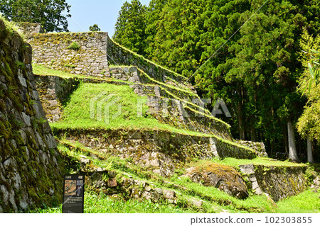 Japan's Top 100 Castles, Iwamura Castle 102303855