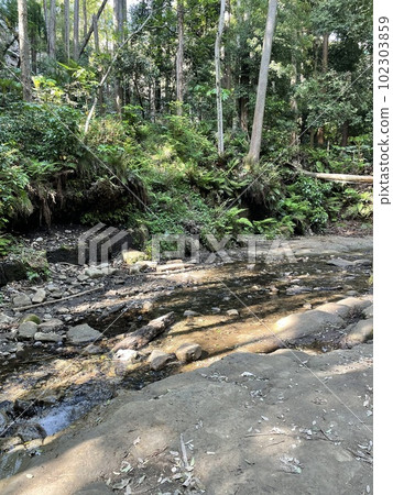 Valley of sunken leaves Valley of sunken leaves 102303859
