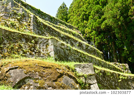 Japan's Top 100 Castles, Iwamura Castle Japan's Top 100 Castles, Iwamura Castle 102303877