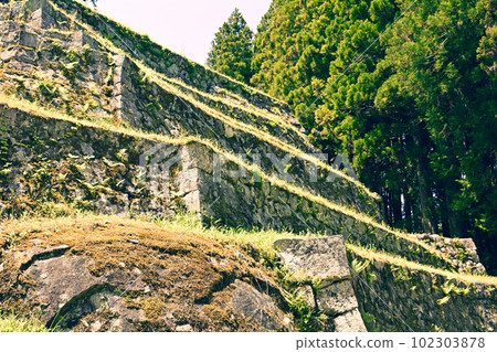 Japan's Top 100 Castles, Iwamura Castle Japan's Top 100 Castles, Iwamura Castle 102303878