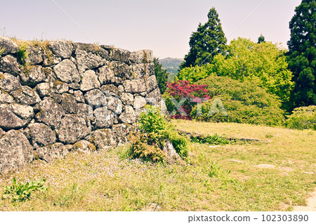 Japan's Top 100 Castles, Iwamura Castle 102303890
