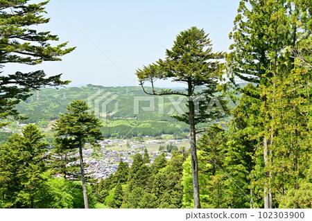 Japan's Top 100 Castles, Iwamura Castle 102303900