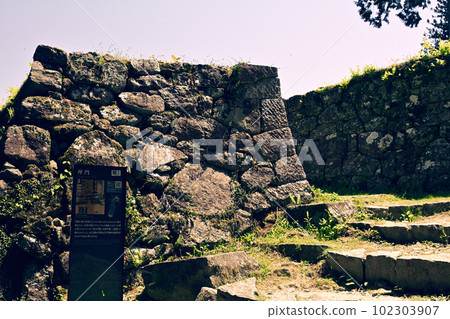 Japan's Top 100 Castles, Iwamura Castle Japan's Top 100 Castles, Iwamura Castle 102303907