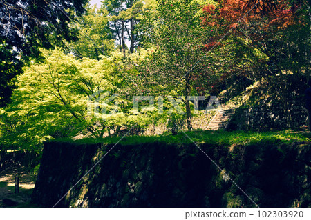 Japan's Top 100 Castles, Iwamura Castle 102303920