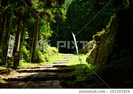 Japan's Top 100 Castles, Iwamura Castle Japan's Top 100 Castles, Iwamura Castle 102303929