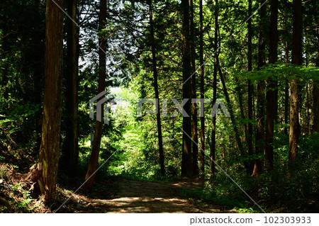 Japan's Top 100 Castles, Iwamura Castle 102303933