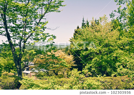 Japan's Top 100 Castles, Iwamura Castle 102303936