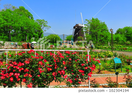 [Osaka Prefecture] Flower Expo Memorial Park Tsurumi Ryokuchi Windmill (Rose Garden) 102304194