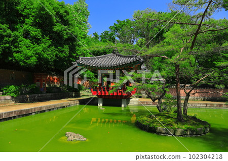 [Osaka Prefecture] Flower Expo Memorial Park Tsurumi Ryokuchi Korean Garden 102304218