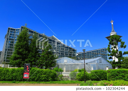 [Osaka Prefecture] Hana Expo Memorial Park Tsurumi Ryokuchi no Sakuya Konohanakan 102304244