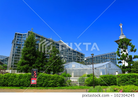 [Osaka Prefecture] Hana Expo Memorial Park Tsurumi Ryokuchi no Sakuya Konohanakan 102304245