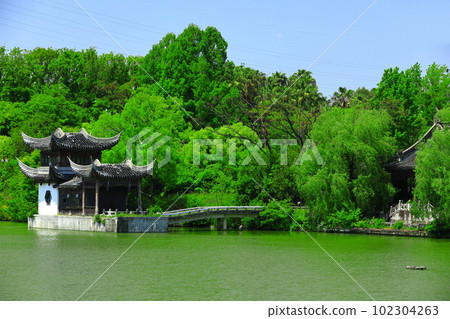 [Osaka Prefecture] Large Pond in Tsurumi Ryokuchi Flower Expo Memorial Park (Garden of the People's Republic of China) 102304263