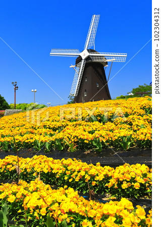 [大阪府]花卉博覽會紀念公園鶴見綠地風車山（中提琴） 102304312