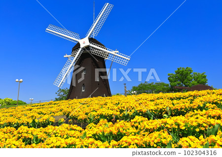 [大阪府]花卉博覽會紀念公園鶴見綠地風車山（中提琴） 102304316