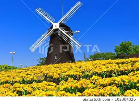 [大阪府]花卉博覽會紀念公園鶴見綠地風車山（中提琴） 102304320