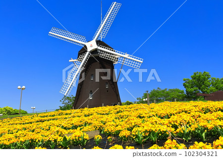 [大阪府]花卉博覽會紀念公園鶴見綠地風車山（中提琴） 102304321