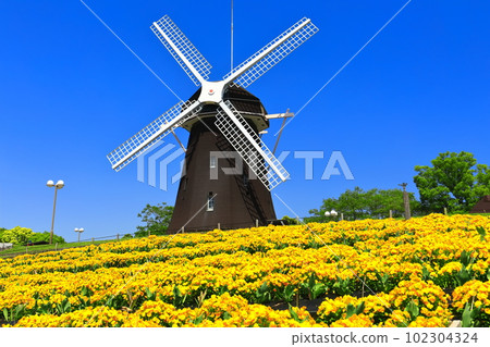 [大阪府]花卉博覽會紀念公園鶴見綠地風車山（中提琴） 102304324