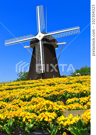 [大阪府]花卉博覽會紀念公園鶴見綠地風車山（中提琴） 102304325