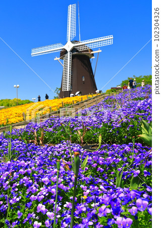 [大阪府]花卉博覽會紀念公園鶴見綠地風車山（中提琴） 102304326