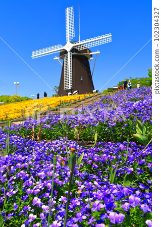 [大阪府]花卉博覽會紀念公園鶴見綠地風車山（中提琴） 102304327