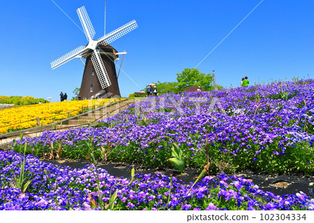 [大阪府]花卉博覽會紀念公園鶴見綠地風車山（中提琴） 102304334