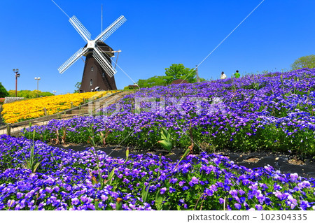 [大阪府]花卉博覽會紀念公園鶴見綠地風車山（中提琴） 102304335