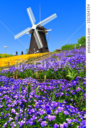 [大阪府]花卉博覽會紀念公園鶴見綠地風車山（中提琴） 102304354