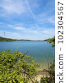 晴天的平松湖（兵庫縣加古川市） 102304567