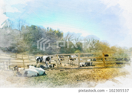 [Aichi Prefecture] Watercolor painting of cows at Aichi Ranch in Nisshin City 102305537