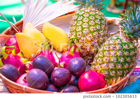 熱帶水果拼盤 102305633