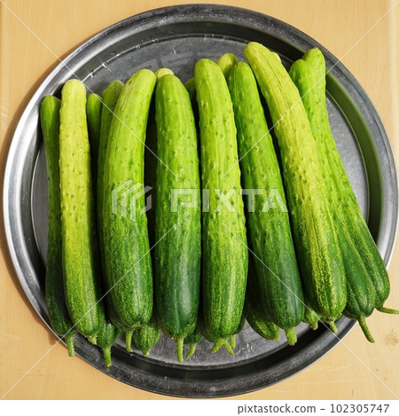 Fresh cucumbers on a tray Fresh cucumbers on a tray 102305747