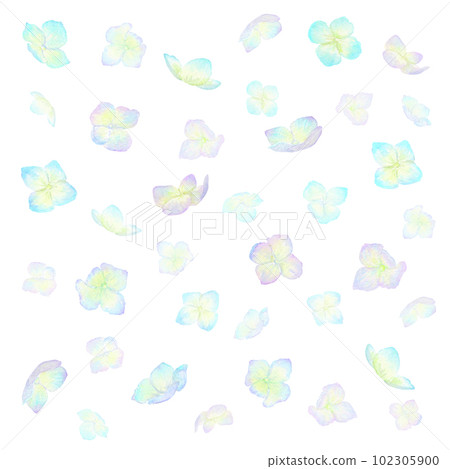 An illustration of colorful hydrangea flowers falling down. Illustration with alpha drawn with watercolors. 102305900