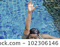 Asian woman asking for help is drowning due to leg cramp in swimming pool 102306146