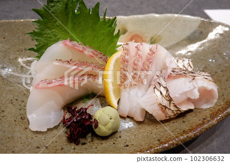 Sashimi from Ibusuki, Kagoshima 102306632