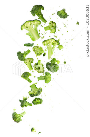 Broccoli pattern isolated on a white background. Various multiple parts of broccoli flower. Broccoli pattern isolated on a white background. Various multiple parts of broccoli flower. 102306633