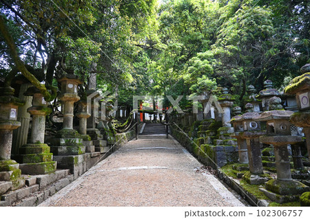 The approach to the Keigamon Gate of the mystical Kasuga Taisha Shrine in Nara City 102306757