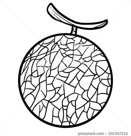 Simple melon black and white line drawing illustration Simple melon black and white line drawing illustration 102307232