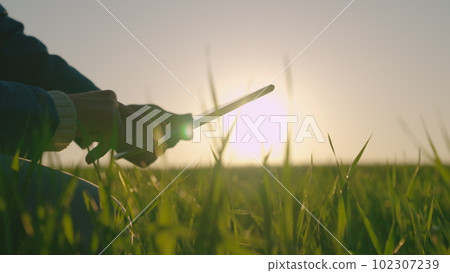 farmer tablet hand. wheat field. summer wheat sunset. Agriculture. smart farm. work tablet display. hand display tablet. farming concept. wheat field concept. work field. young fresh harvest. farmer tablet hand. wheat field. summer wheat sunset. Agriculture. smart farm. work tablet display. hand display tablet. farming concept. wheat field concept. work field. young fresh harvest. 102307239