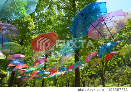 Umbrella Sky 群馬縣甘樂町 Umbrella Sky 群馬縣甘樂町 102307711