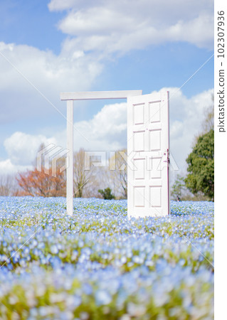 nemophila 領域的門 102307936