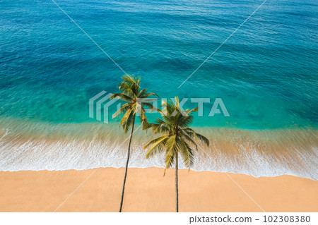 Aerial drone view of tropical beach paradise with palm trees and yellow pure sand  102308380
