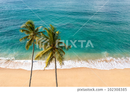 Aerial drone view of tropical beach paradise with palm trees, travel and tourism conceptual photo 102308385