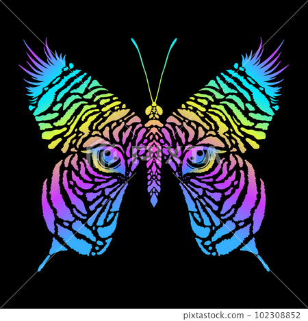 Butterfly with tiger print Butterfly with tiger print 102308852