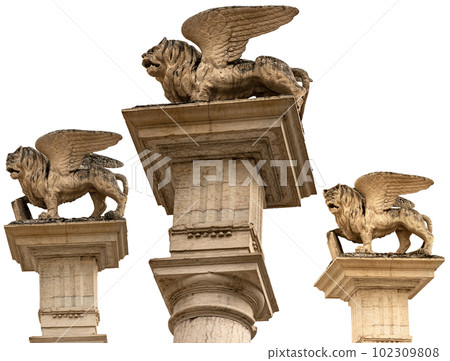Winged Lion of Saint Mark Isolated on White Background - Feltre Veneto Italy 102309808