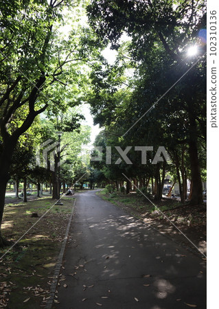 橫濱市鶴見區綠意盎然的入船公園 橫濱市鶴見區綠意盎然的入船公園 102310136