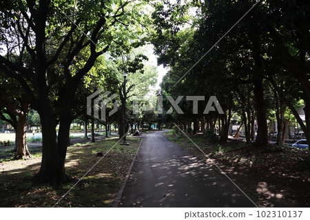 橫濱市鶴見區綠意盎然的入船公園 102310137